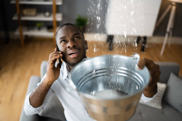 Best Commercial water damage restoration  in Wonder Lake, IL