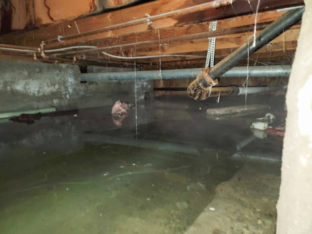 Best Emergency water extraction  in Wonder Lake, IL