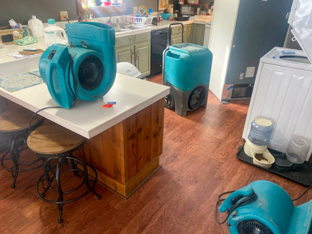 Best Local water damage restoration  in Wonder Lake, IL