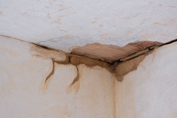 Best Water damage contractors near me  in Wonder Lake, IL
