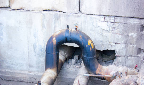 Best Water damage cleanup near me  in Wonder Lake, IL