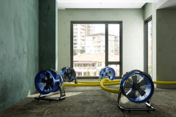 Best Water damage restoration near me  in Wonder Lake, IL