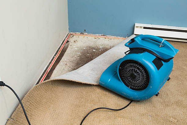 Best Sewage cleanup and water damage restoration  in Wonder Lake, IL